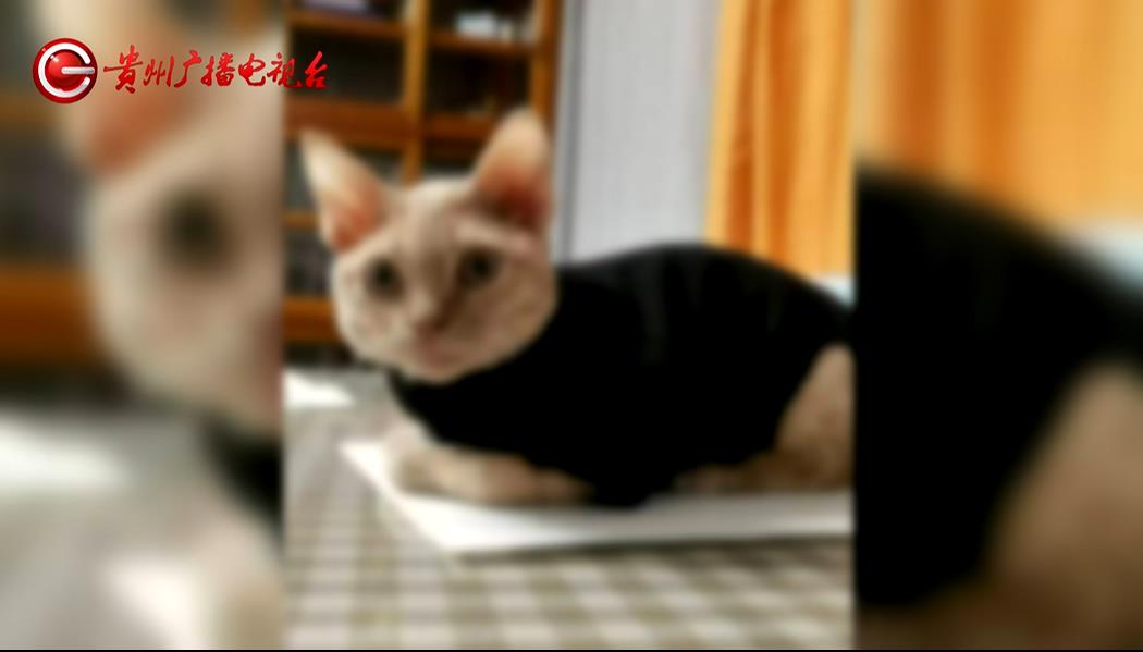 DƬ